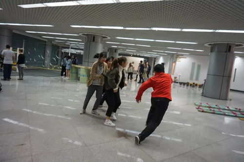 新西兰风情文化集市 跨越山海，邀您共赴一场艺术盛宴